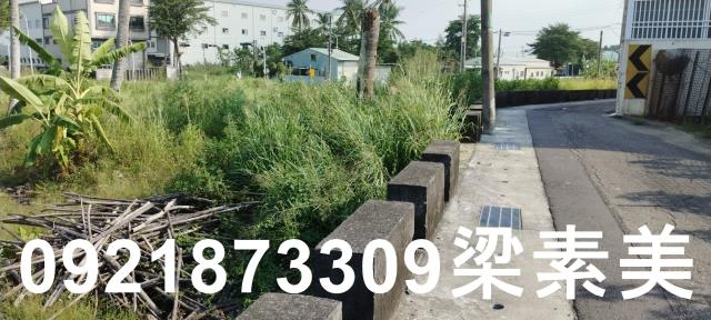 台南仁德農地-9