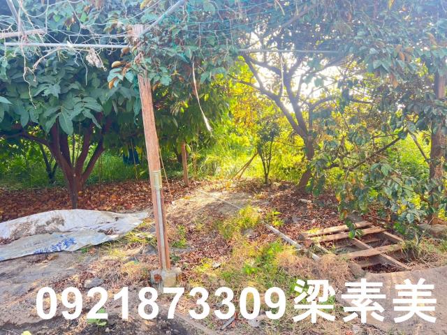 台南仁德農地-10