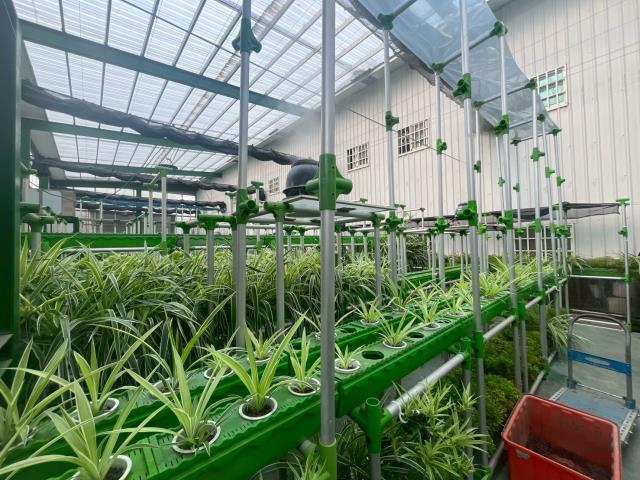 台中大雅農地-12