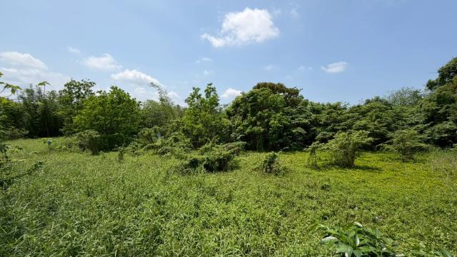 芎林建地-8