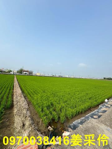 嘉義農地-7