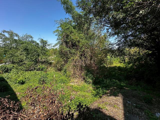 台南新化農地-1