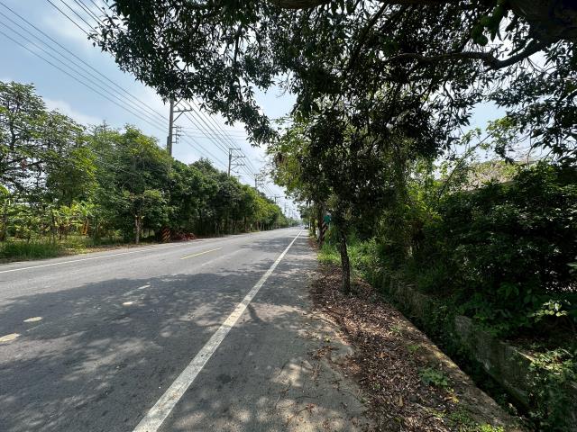 台南新化農地-2