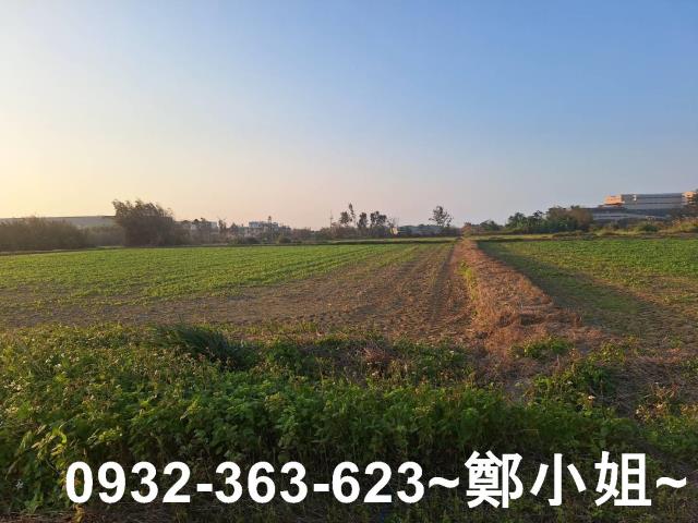 桃園觀音農地-10