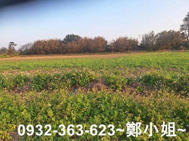 桃園觀音農地-12