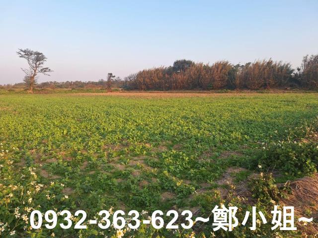 桃園觀音農地-1