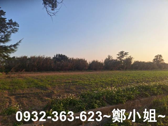 桃園觀音農地-6