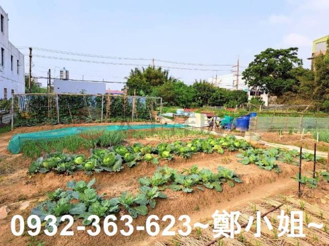 桃園平鎮農地-8