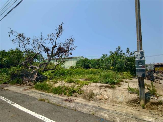 高雄湖內農地-9