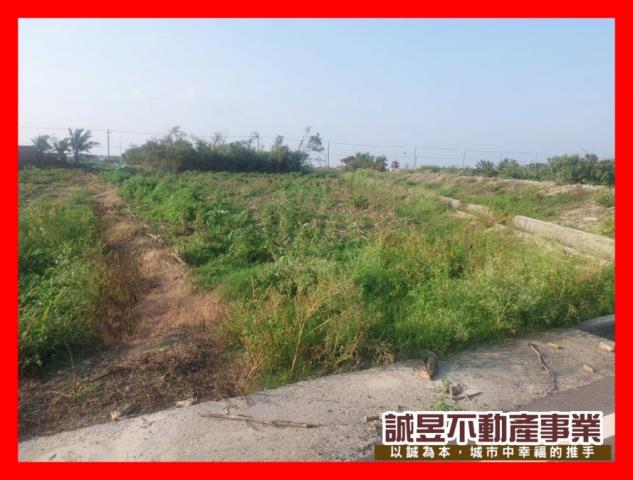 新營建地-2
