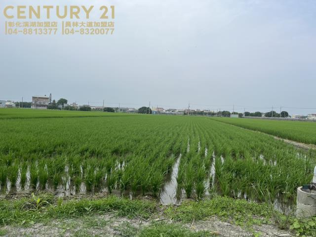 彰化農地-3