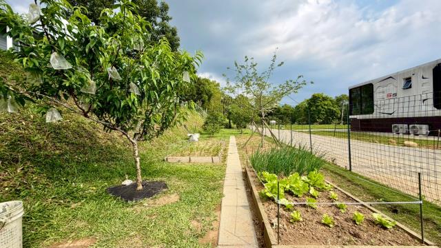 新竹關西農地-14