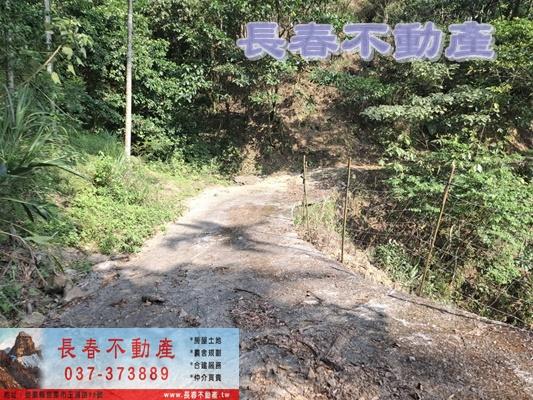 苗栗公館建地-9