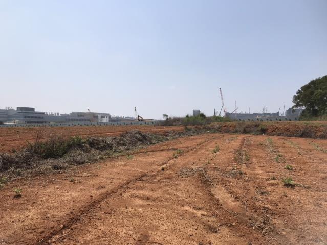 台中大雅農地-14