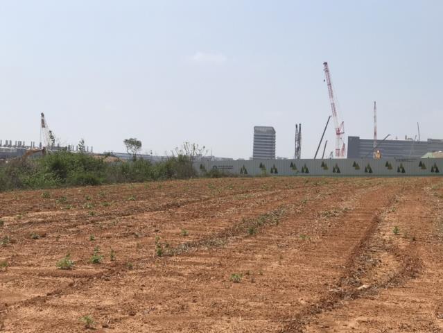 台中大雅農地-11