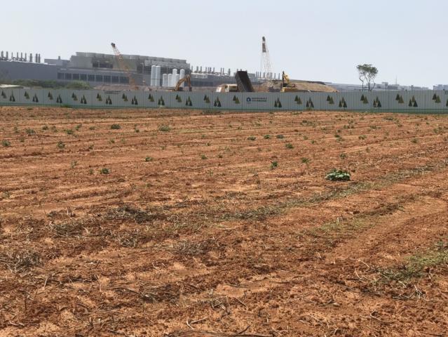 台中大雅農地-12