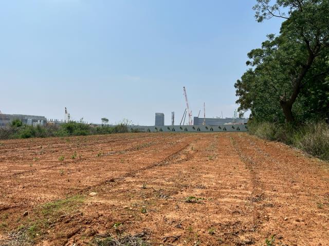 台中大雅農地-5
