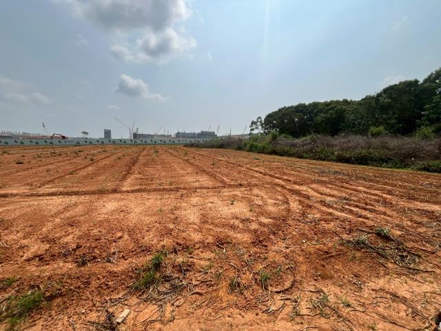 台中大雅農地-7