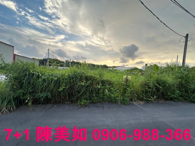仁武農地-1