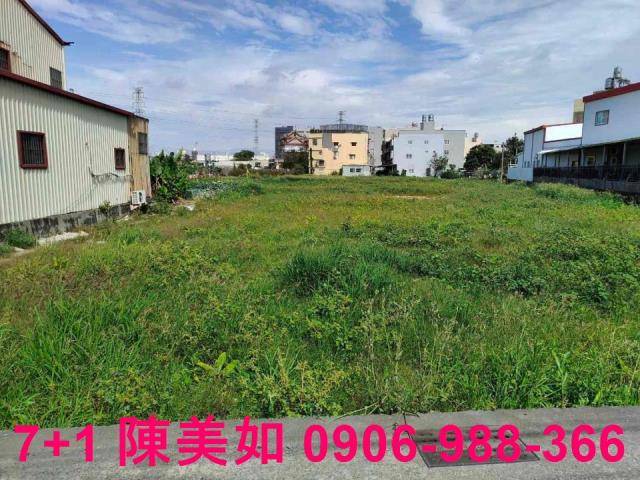仁武農地-1