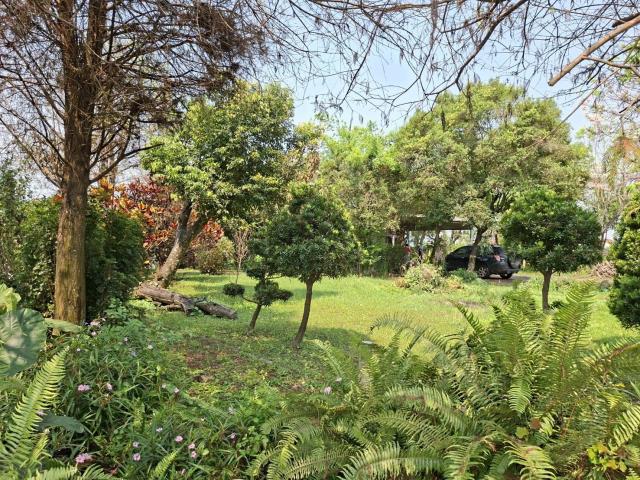 高雄美濃農地-10