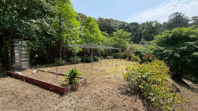 新竹峨眉農地-4