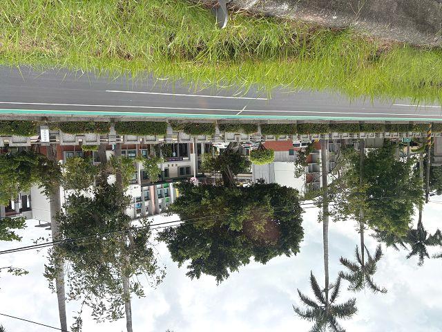 台南善化建地-2