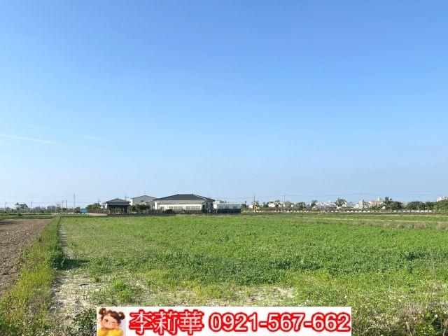 台南佳里農地-11
