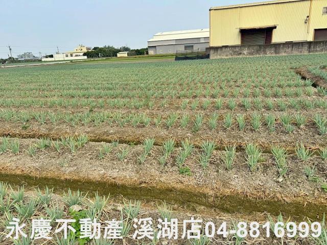 彰化埔鹽農地-12