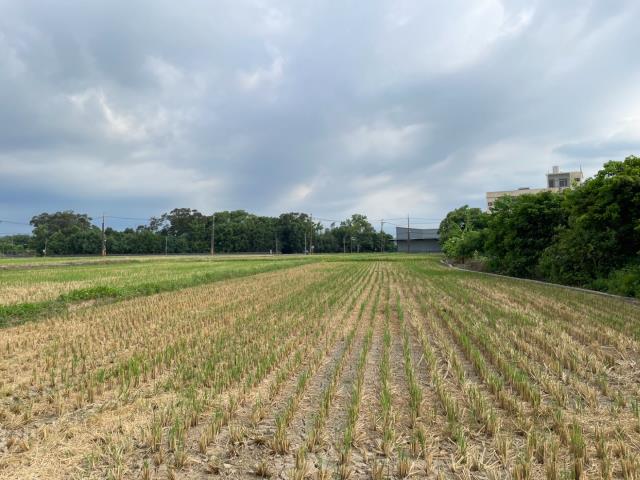 平鎮農地-1