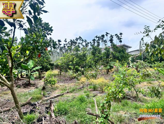 嘉義農地-2