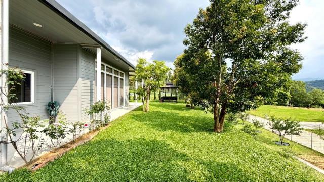 新竹關西農地-12