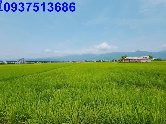 宜蘭礁溪農地-14