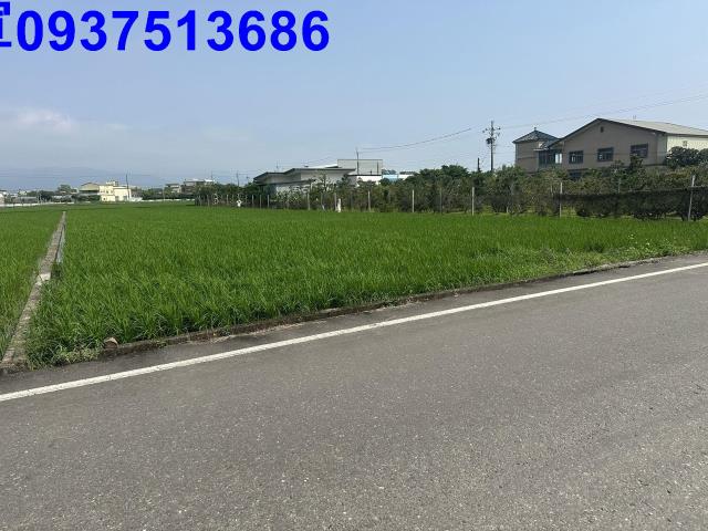 宜蘭宜蘭市農地-5