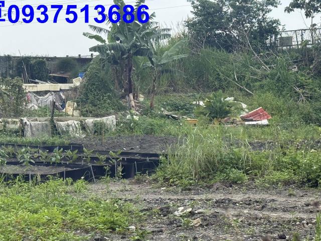 宜蘭宜蘭市公園用地-14