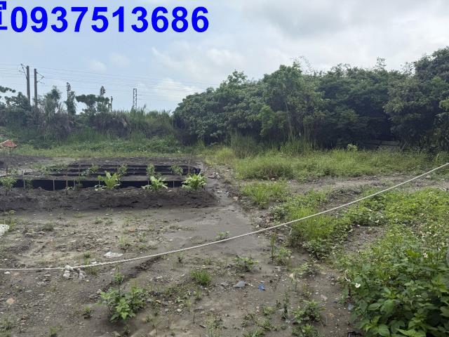 宜蘭宜蘭市公園用地-5