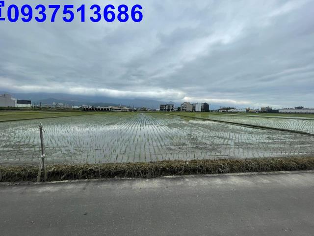 宜蘭宜蘭市農地-1
