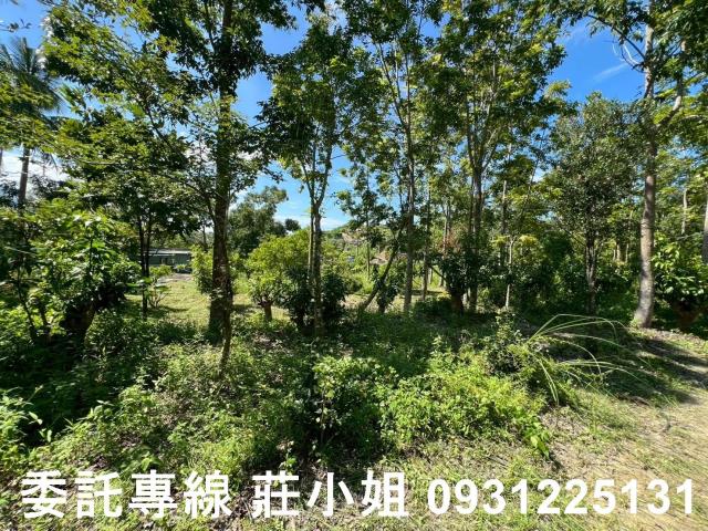 台南南化農地-10