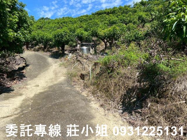 台南南化農地-5