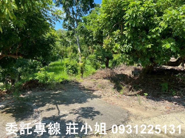 台南南化農地-6