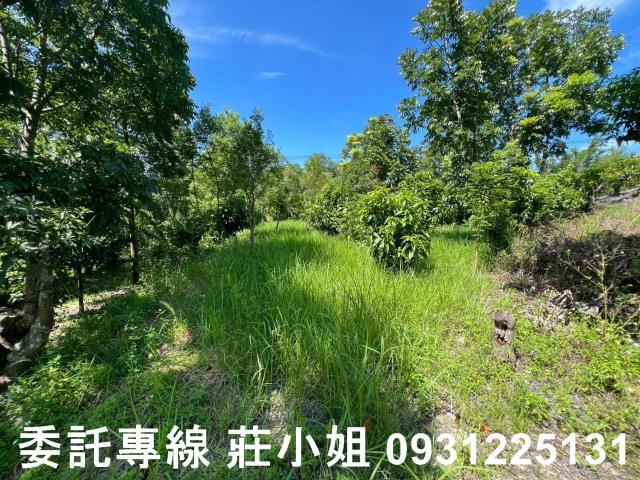 台南南化農地-8