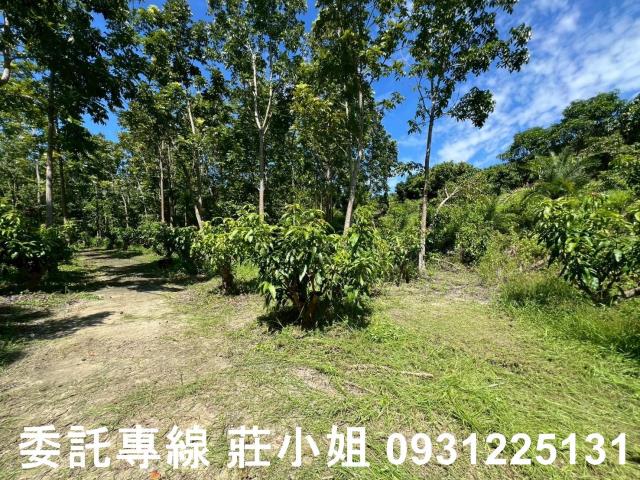 台南南化農地-9