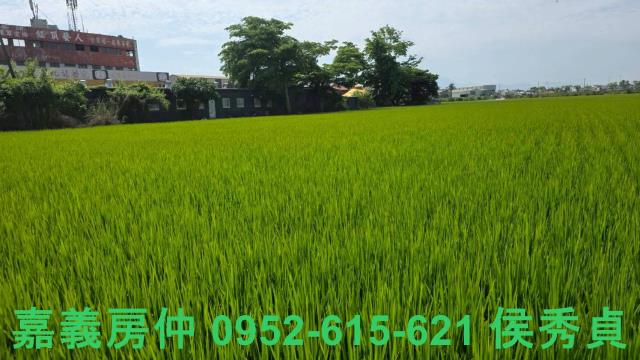 嘉義西區農地-10