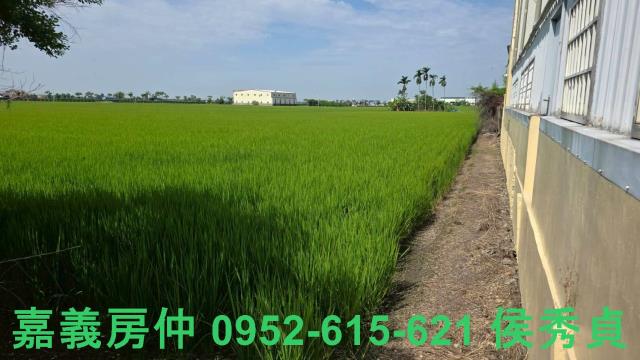 嘉義西區農地-8