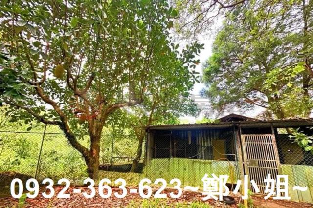 桃園復興農地-14