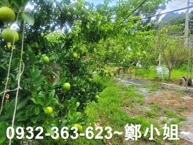 桃園復興農地-6