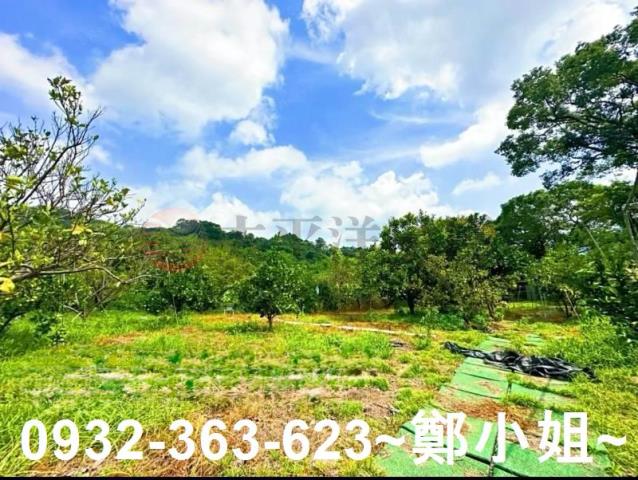 桃園復興農地-9