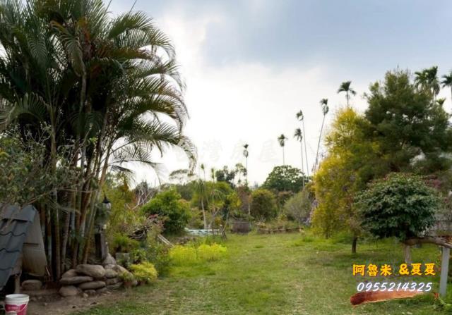 嘉義番路農地-2