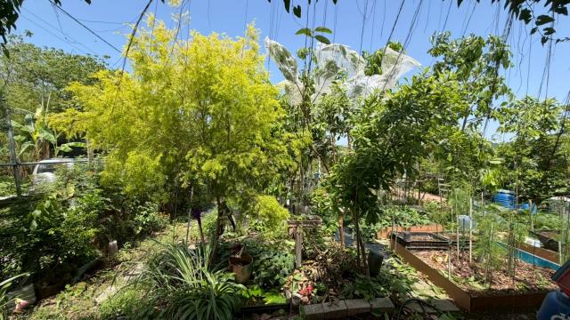 新竹寶山山坡地-10