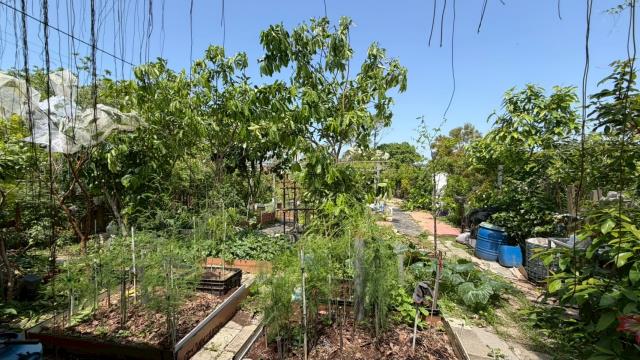 新竹寶山山坡地-11